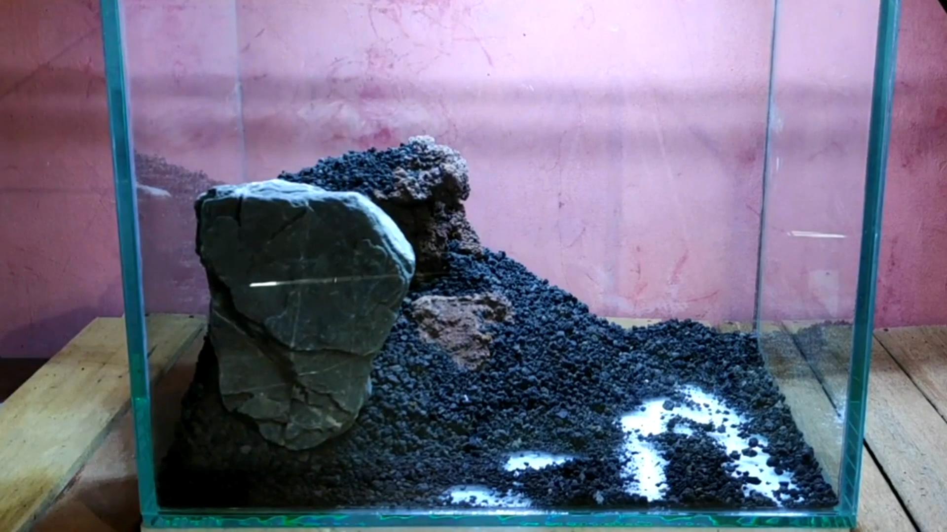 水陆缸石头拼接造景教程,真石头假山拼接造景