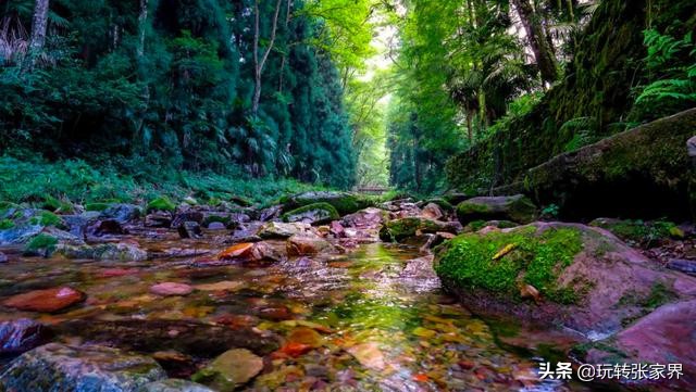 去张家界自助游/自驾游/自由行旅游包车/向导/行程私人定制