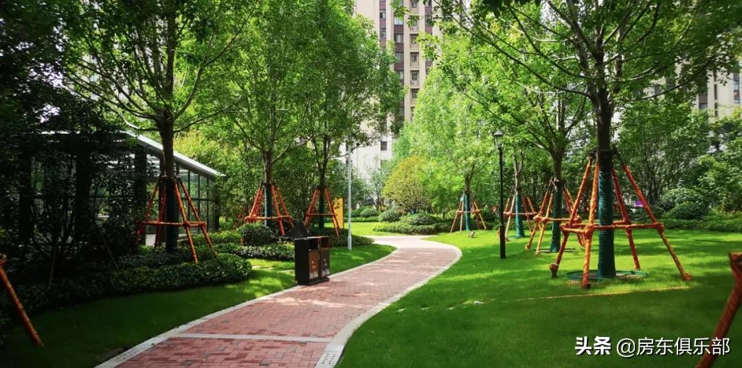 野蛮生长房地产,房地产市场野蛮生长