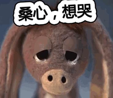 加拿大多伦多留学租房,加拿大留学可以租房吗