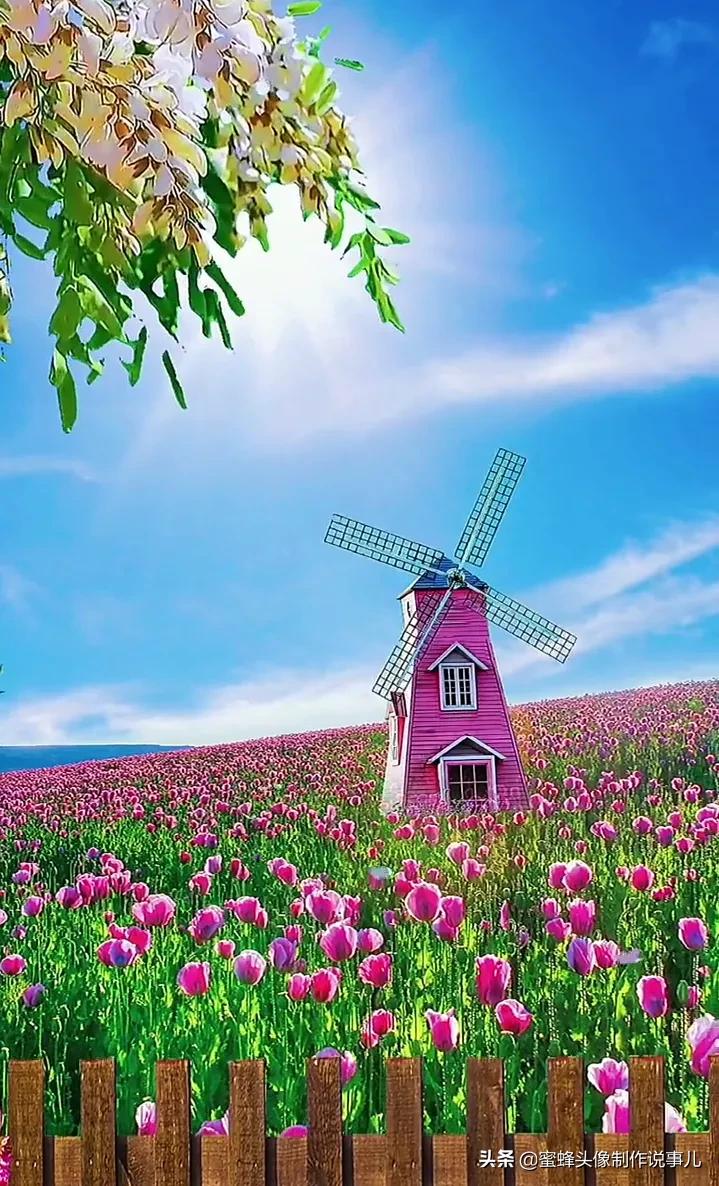 清新养眼青山绿水风景桌面壁纸,壁纸图片蓝天白云青山绿水