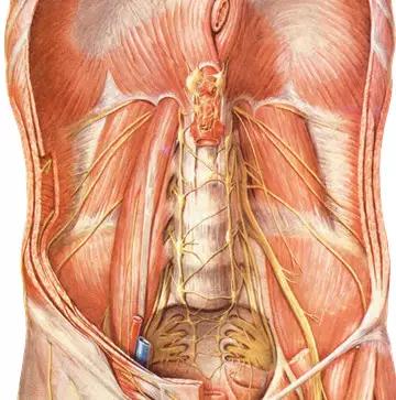 颈椎腰椎疾病ct及mri诊断,腰椎ct可以发现肠部病变吗