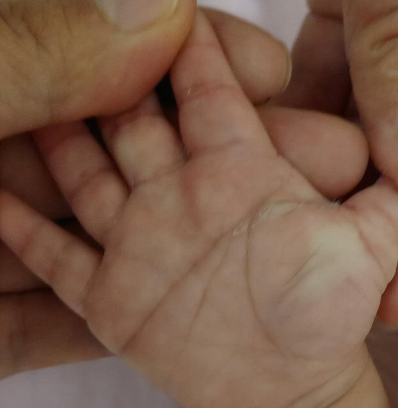 她的掌纹里有你的命运吗,掌纹算命分析图男性命运