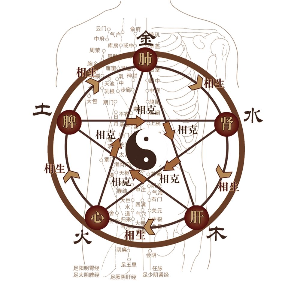 你想要的健康，从紫砂莲花灸开始~