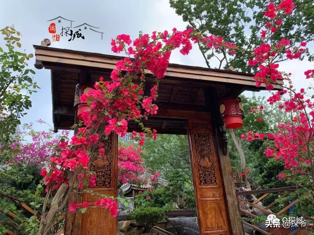 适合遛娃的地方重庆绿色星球,重庆150米神秘花园