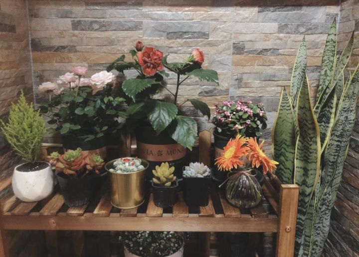 装修避坑攻略文字,装修避坑指南没有干货