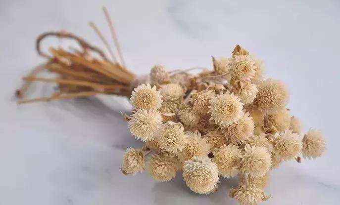 8种能做干花的鲜花,男朋友送的花就这么做