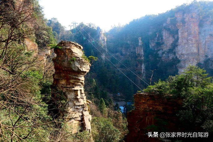 张家界森林公园亲子游攻略,张家界旅游攻略现在张家界气温