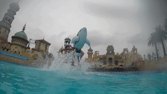 七夕同游特惠套票,七夕当天情侣进店即享八折特惠