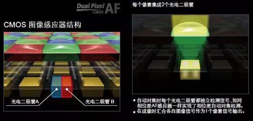 严谨与不严谨对比图,索尼a7m4对比佳能6d2人像