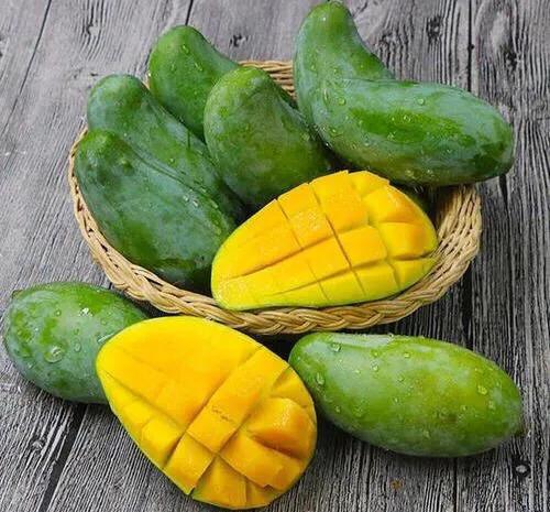 芒果树最甜的品种,芒果树哪种品种好吃