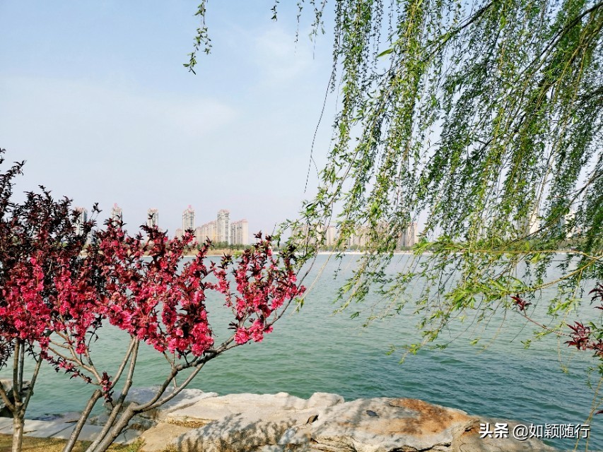 开封西湖之滨,开封西湖即景