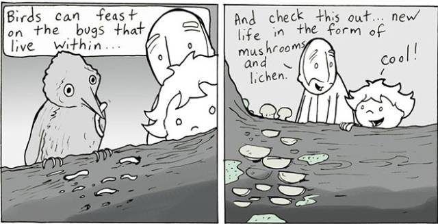 父母教育孩子的正确沟通方法漫画,家庭教育十大经典漫画