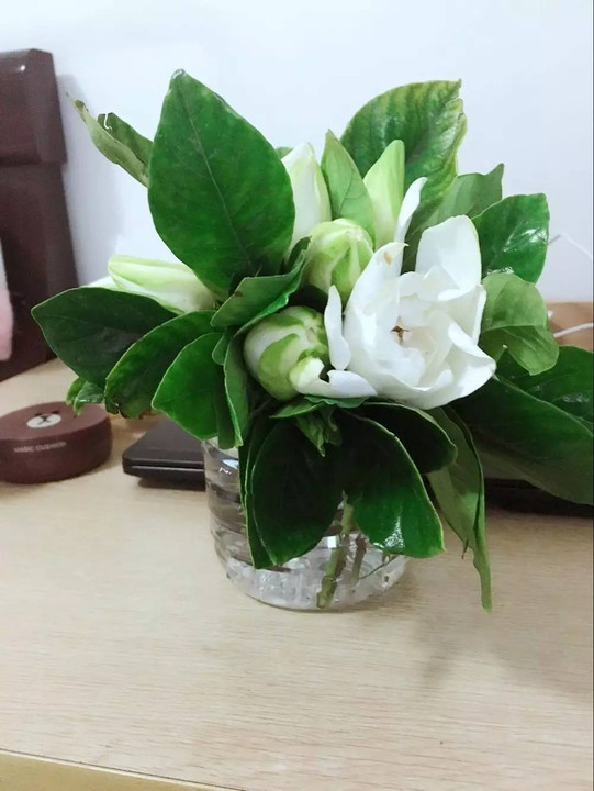 租房合租的真实感受,武汉合租