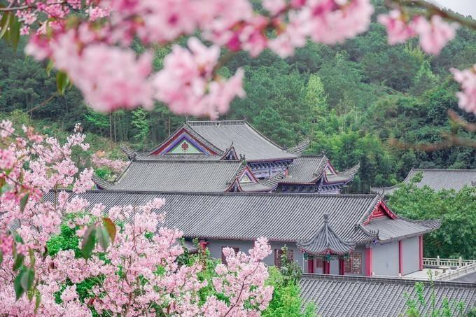 科幻小说《吽》连载之四新桃园喜迎大家长