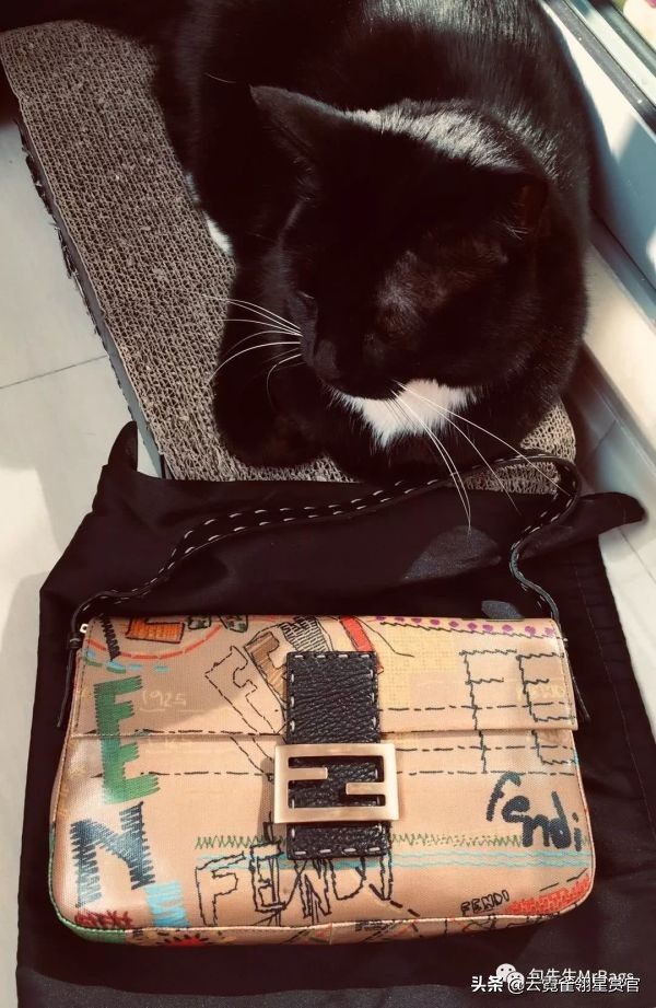 非常好看的宠物包,大家的包都带什么玩偶