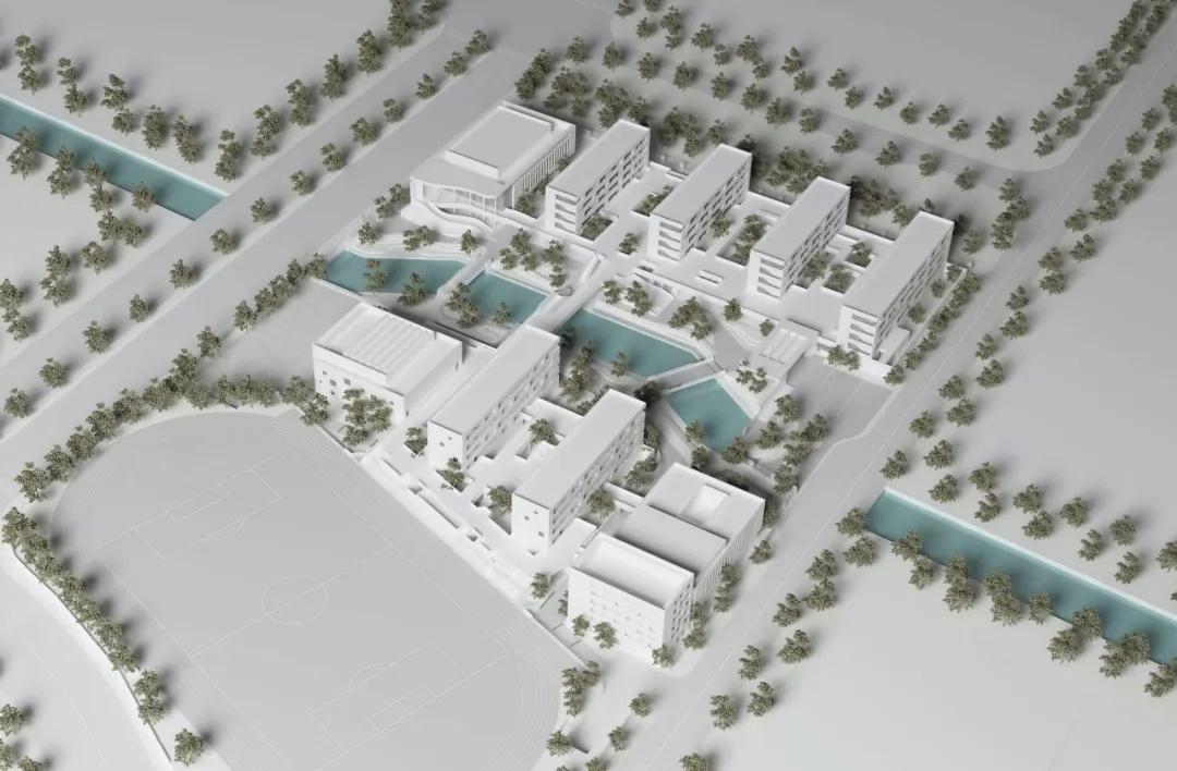 宁波杭州湾滨海小学后勤招聘,宁波杭州湾滨海小学学费