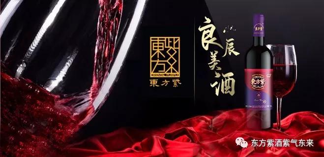 紫酒的正确使用方法,东方紫酒的正确喝法
