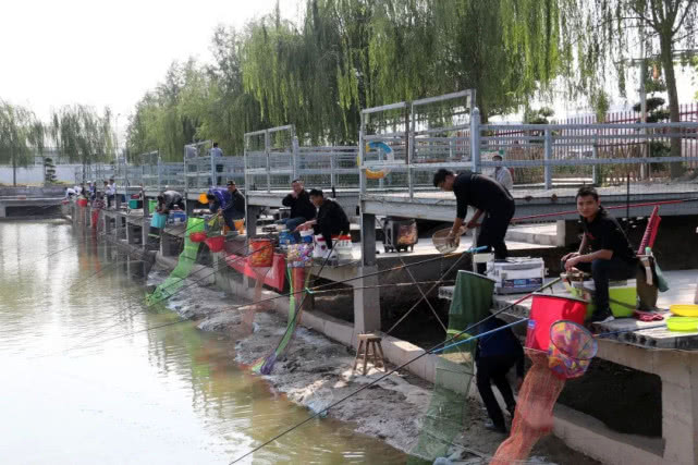 黑坑老板耍的“五个猫腻”别苦了钓鱼人