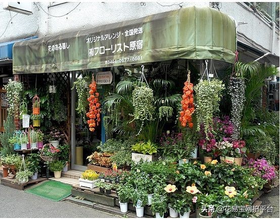 开工作室好还是花店好,花店工作室和花店有什么区别