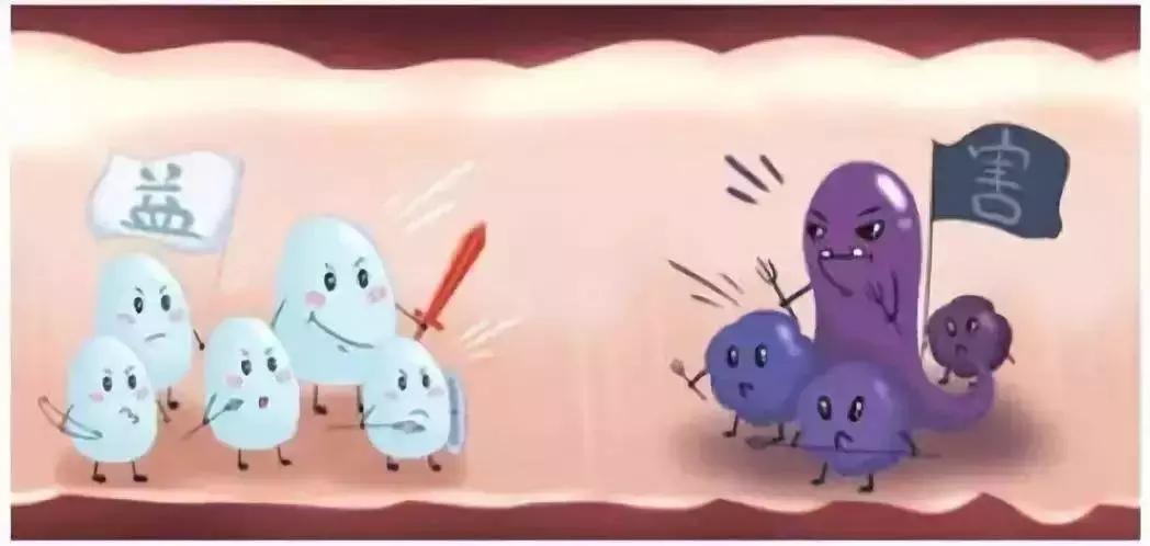 益生菌与免疫疾病,益生菌和流感病毒