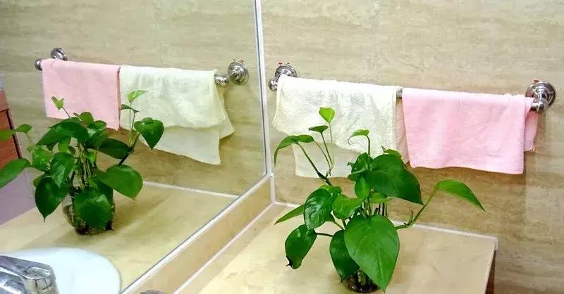 苏州开学第一节课,苏州市开学第一课2020