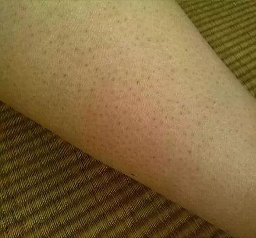 雅顿绿茶身体乳按压款真假辨别,雅顿身体乳绿茶好用吗