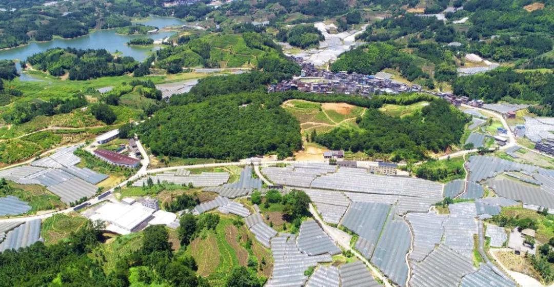 加强致富带头人队伍建设推动产业优化升级（三）