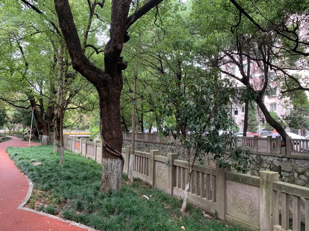 丝绸城与体育场板块，好风送我上青云！|房叔说No.315