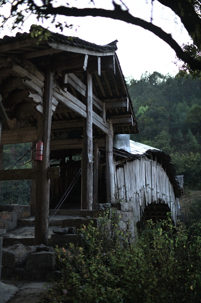 娓呮槑缁嗛洦澶╃伆钂欒挋,娓呮槑鍐烽洦