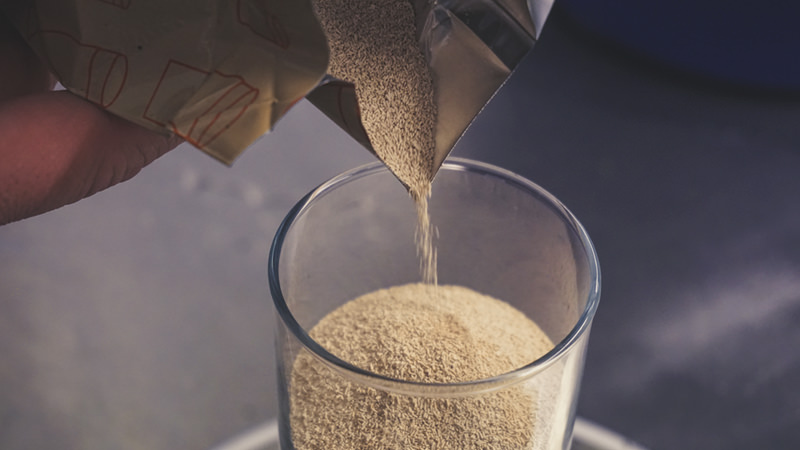 猫咪有跳蚤，老一辈人教你几个小妙招，轻松解决