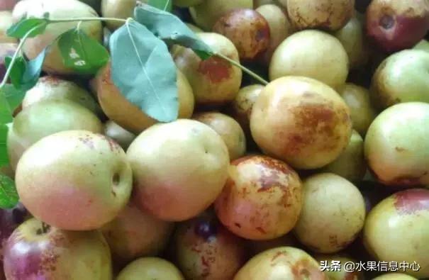 中国水果大全,中国水果大全图片和名字