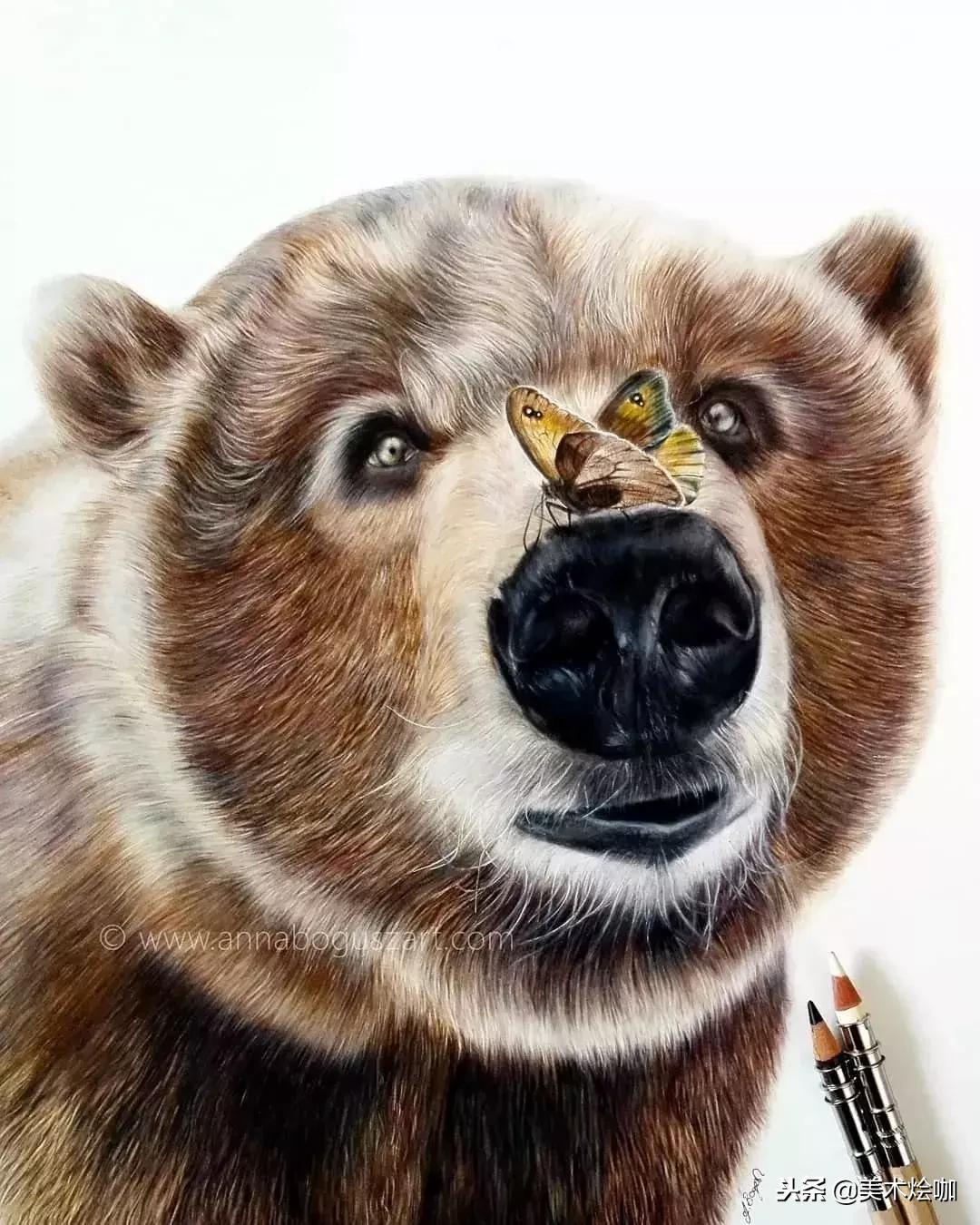 彩铅画教程超写实零基础入门,超写实彩铅画高清大图水果组合