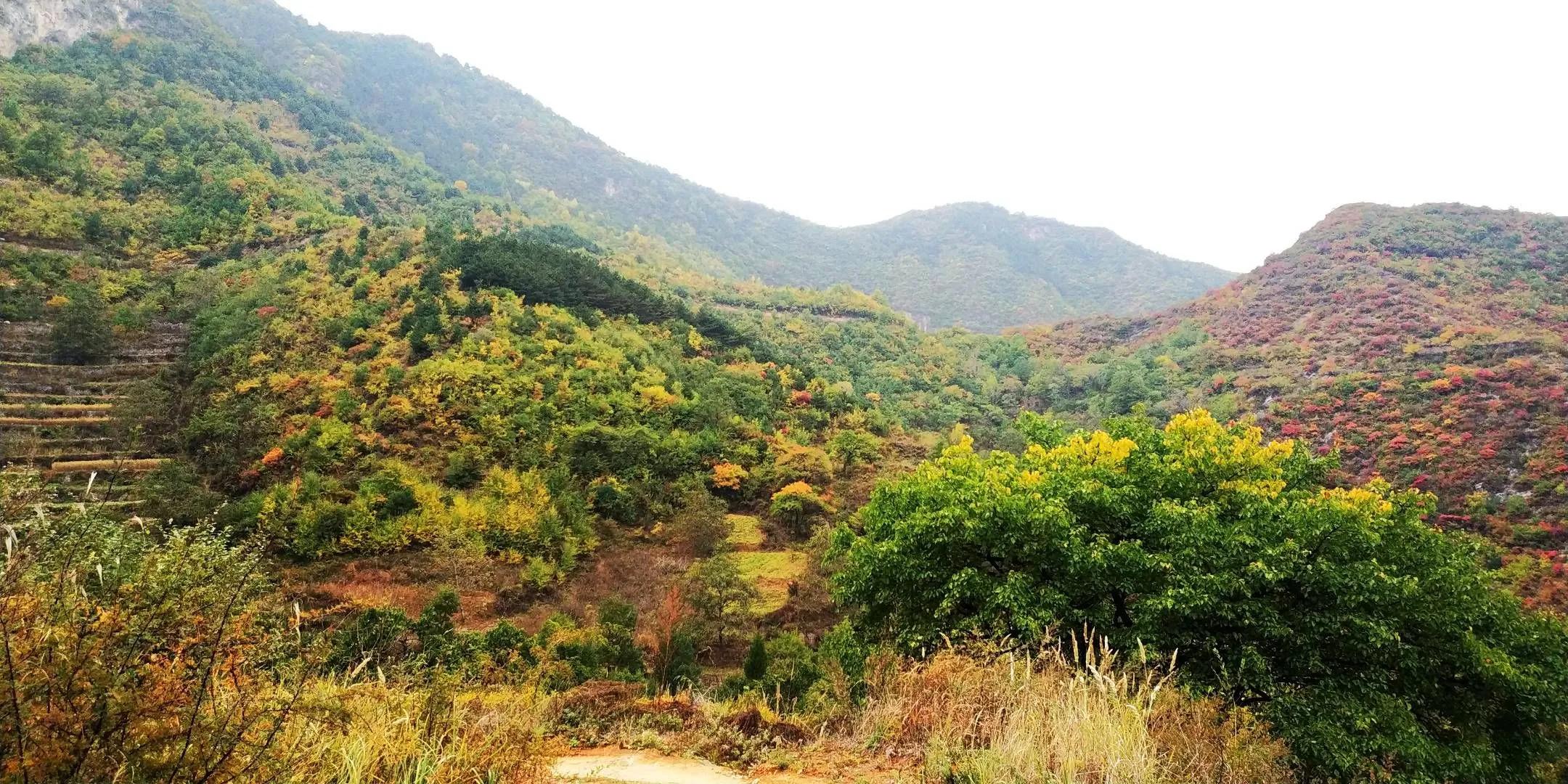 山西康养避暑胜地,山西长治康养圣地