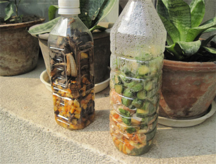 农家沤肥的简单方法,在家沤液肥新手教程