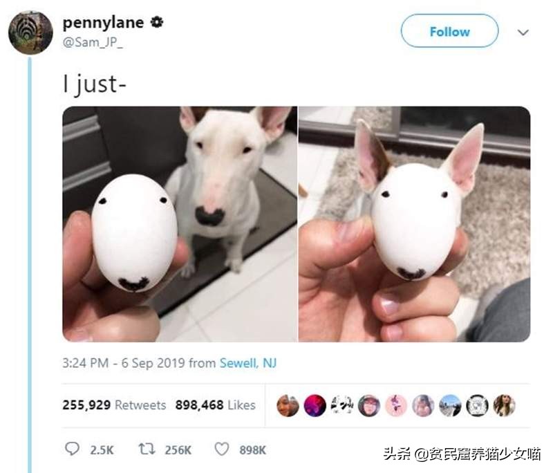 简单一招，比Ai换脸还厉害，毫无违和的牛头梗照片