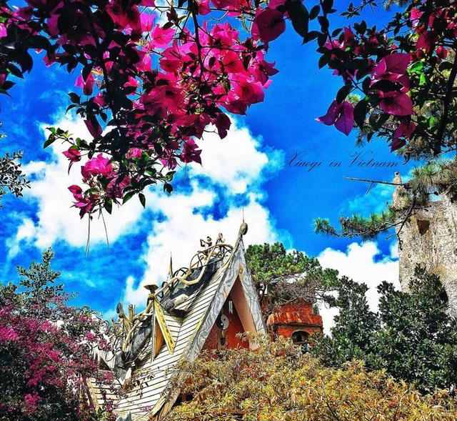 异国风情越南芽庄之行,越南旅游异域风景