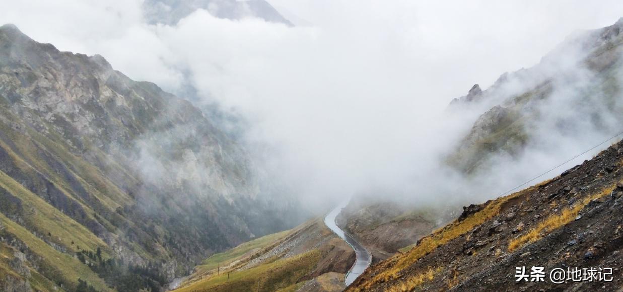 *疆新**:随着环境慢慢变好,*疆新**正在迎来复苏,该不该人工干预