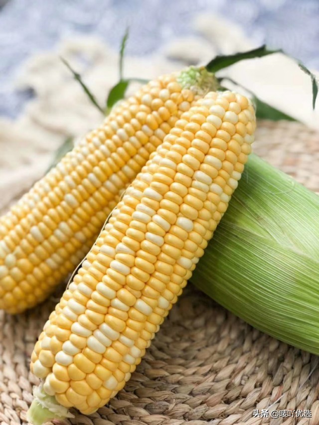 爆浆奶香水果玉米,水果玉米可以直接生吃吗