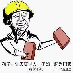 这样的防腐木建筑你见过吗,中建现在的现状