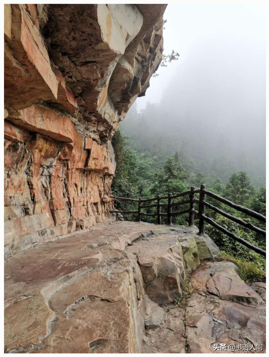 在山上被猴子追,张家界黄石寨的猴子抢东西视频