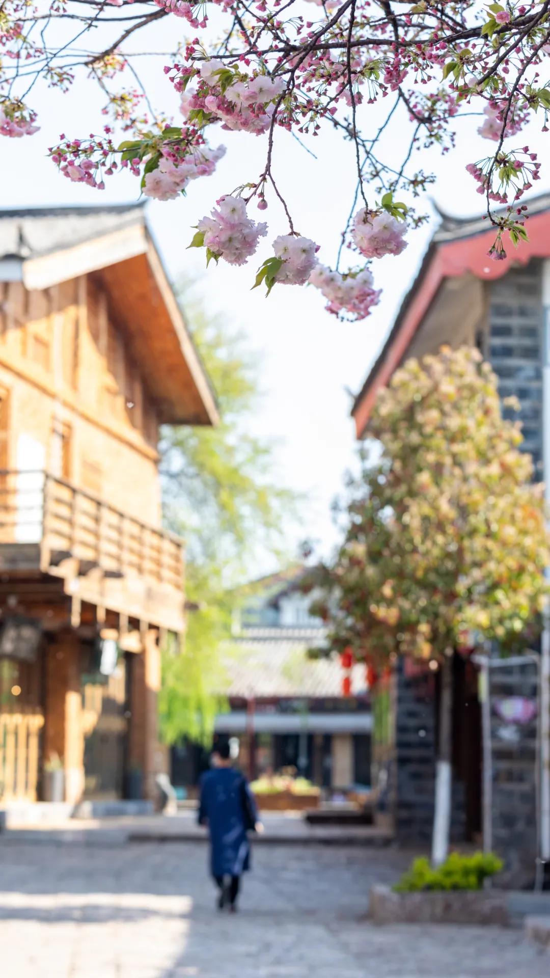 五一节导游放假吗,51小时假连休5天该不该出去旅游