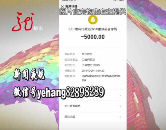 为什么宠物狗打了疫苗还会得病,宠物狗打了疫苗为什么会死