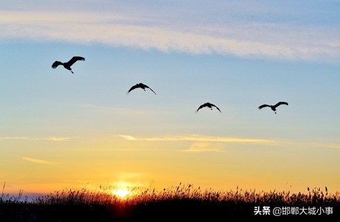 居室风水最佳布局,住宅风水八卦位置怎么确定