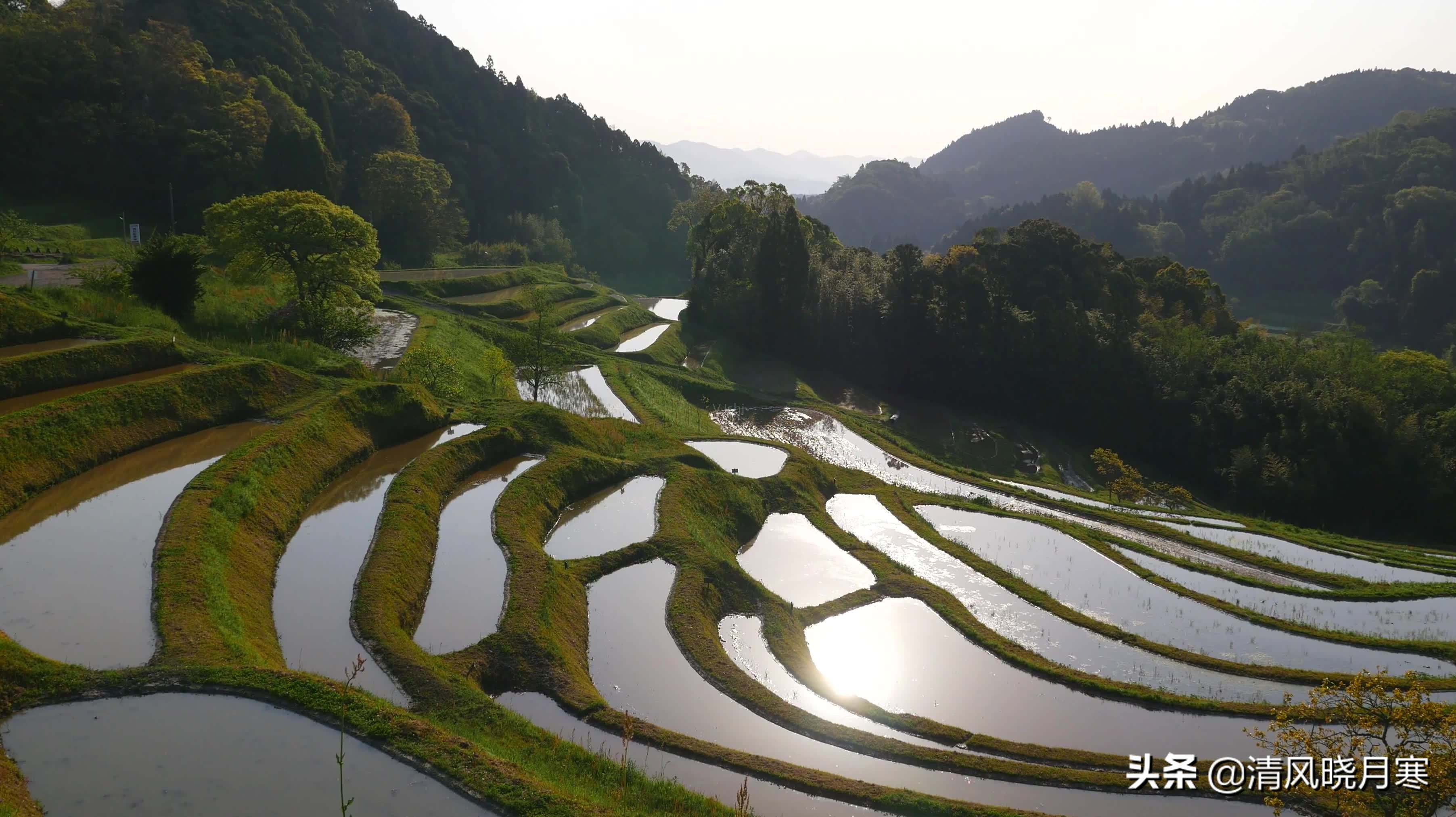 叉泥鳅技术,叉泥鳅