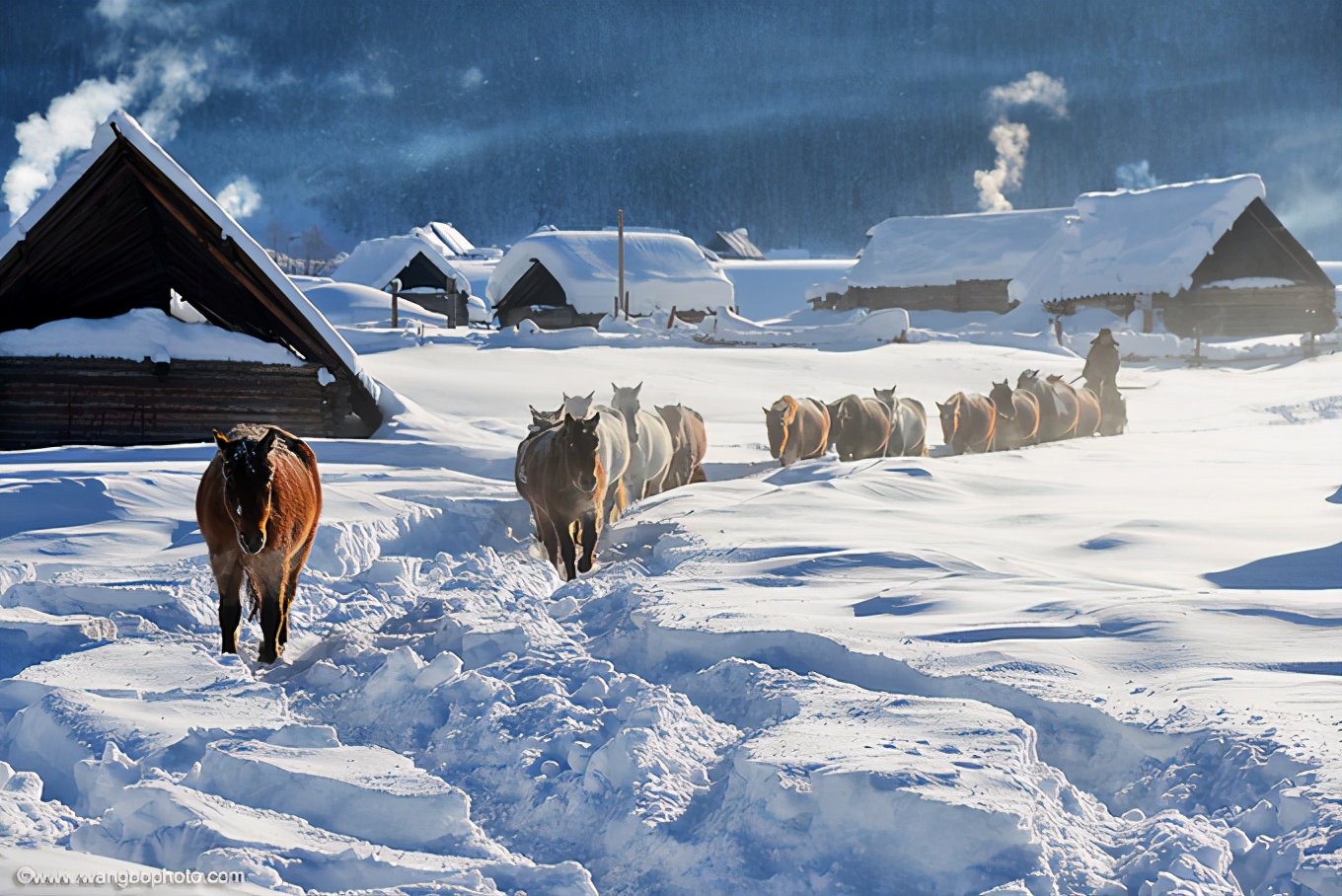 新疆疆内旅行攻略学生,川进疆出自驾游攻略