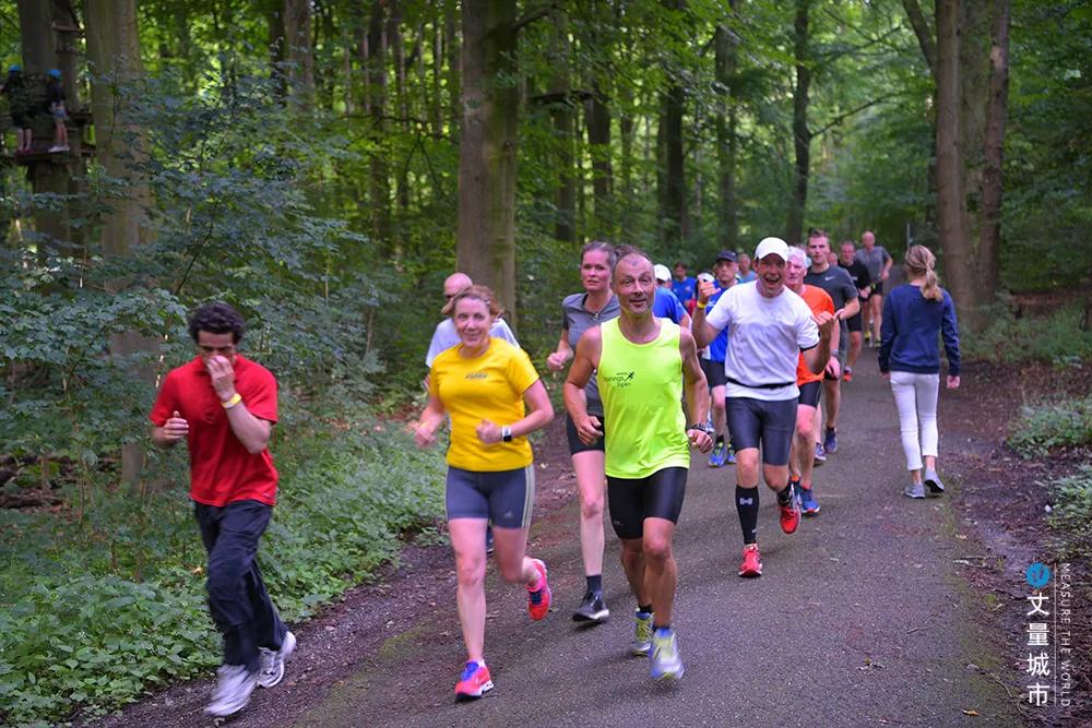 5.16国际牛奶日,每天一杯牛奶强壮中国人