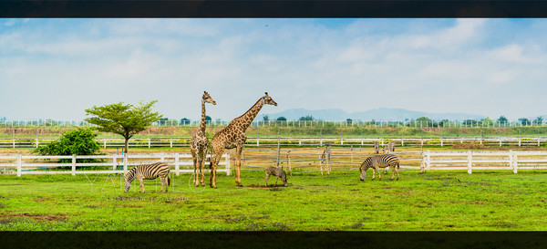 深度玩转泰国攻略,泰国游国际漫游