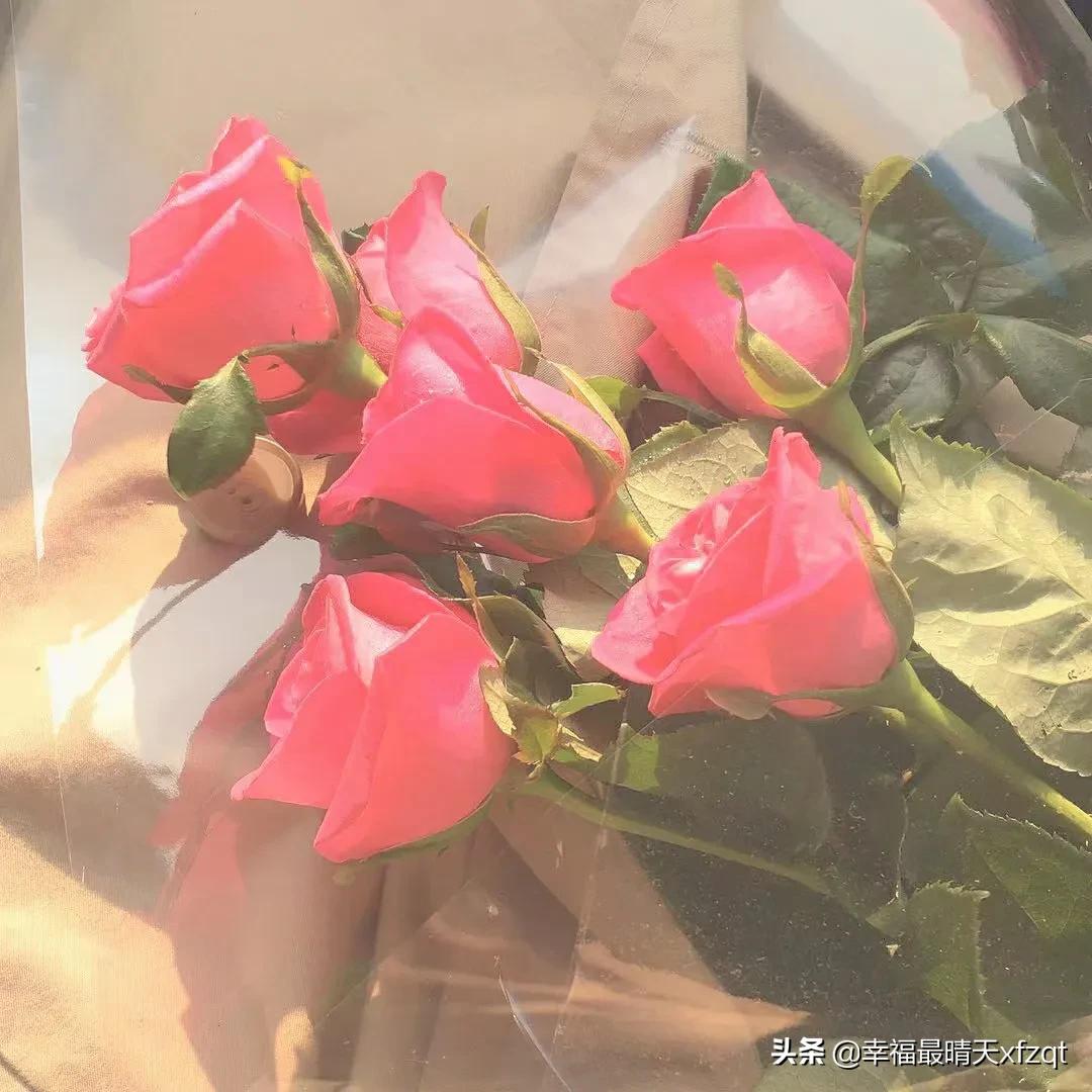 澶╄潕搴ч櫠鐧界櫧,澶╄潕搴ч櫠鐧界櫧鍥炬枃