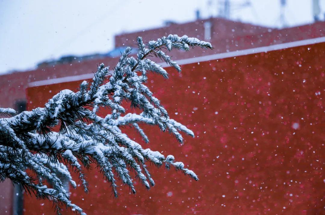 内工大初雪,大工山雪景
